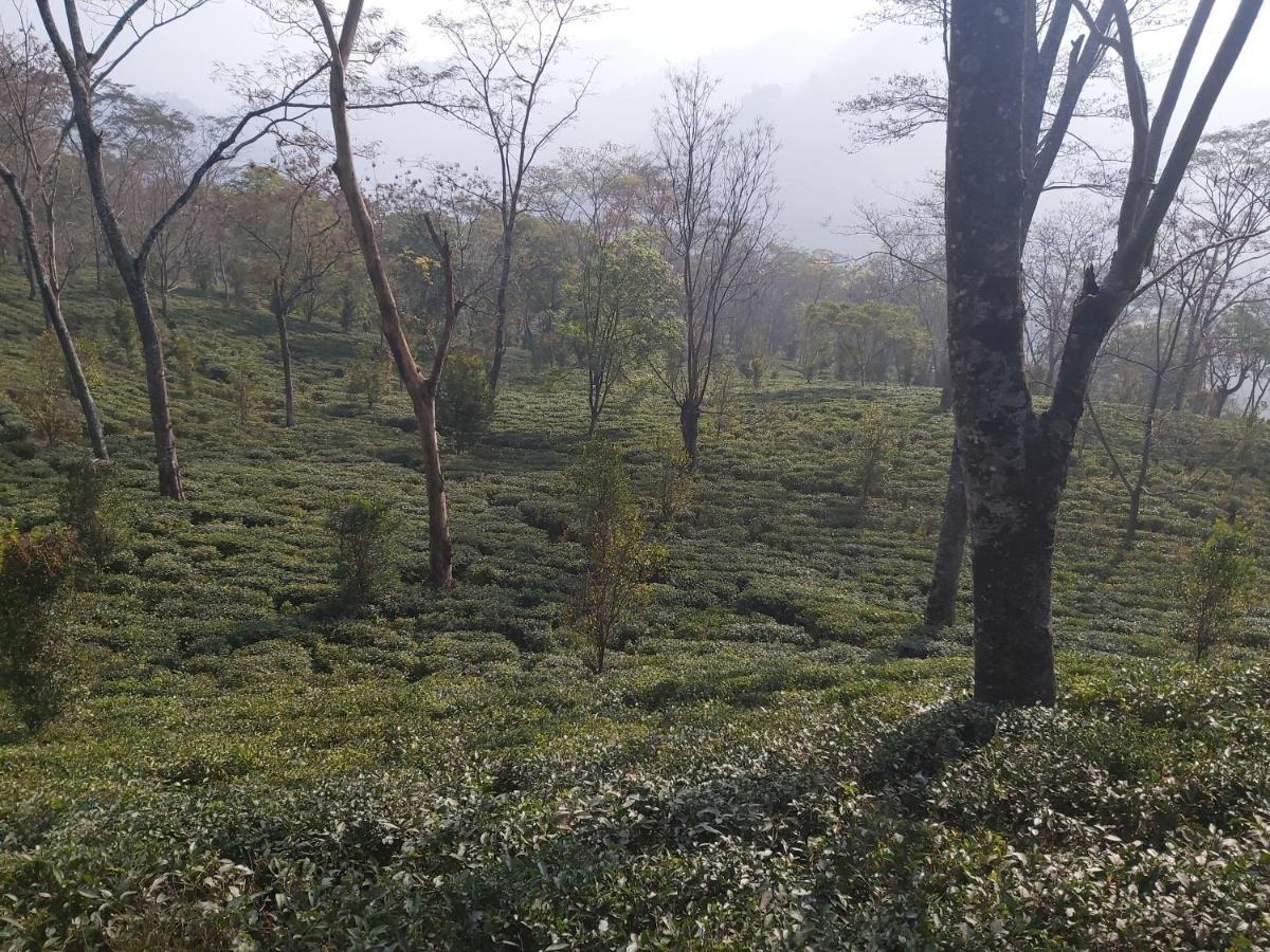 Eviana Homestay Darjeeling  Exterior photo